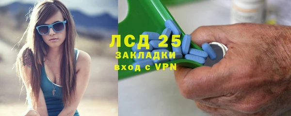 ГАЛЛЮЦИНОГЕННЫЕ ГРИБЫ Новозыбков