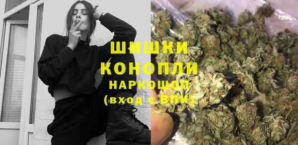 ГАЛЛЮЦИНОГЕННЫЕ ГРИБЫ Новозыбков